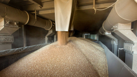 В российский интервенционный фонд закупили более 14 тыс. тонн зерна
